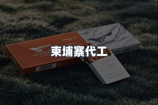 柬埔寨代工